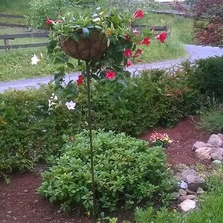 Haus Talblick Holiday home