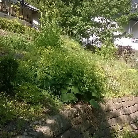 Haus Talblick Holiday home