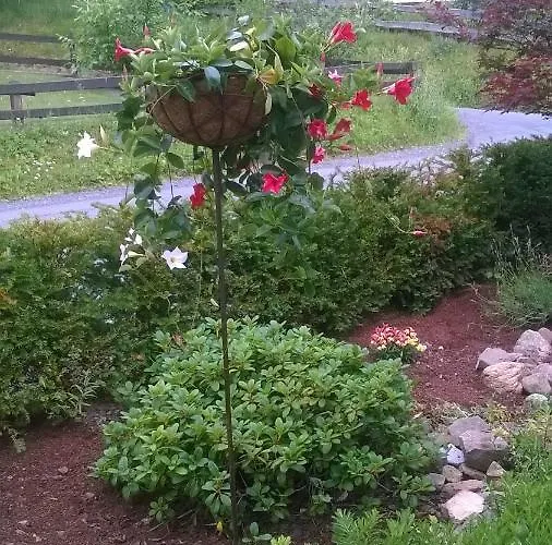 Haus Talblick Tatil Evi